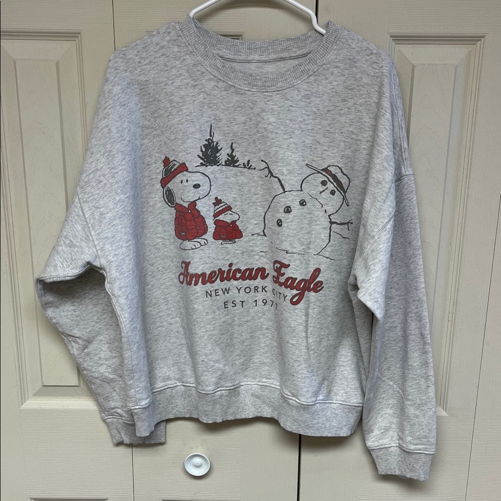 American Eagle Outfitters Gray Sweatshirt